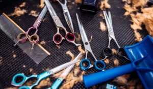 In-Home Senior Hairdresser Saskatoon