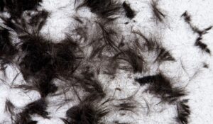 Saskatoon Senior Hairstyling Services